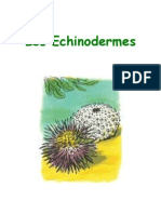 Les Echinodermes