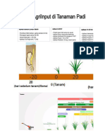 Agriinput Practice