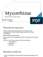 Mycorrhizae