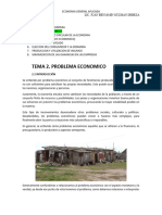 Tema 2 Problema Economico