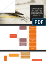 Estructura Del Sistema Nacional de Presupuesto Público - Trabajo Final 1