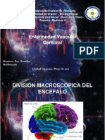 Enfermedad Vascular Cerebral LISTO Este