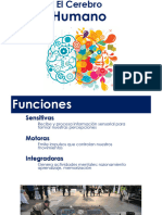 Tema 2 - Conducta Electroquimica Del Cerebro