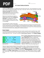 Cell Transport Reading and Questions