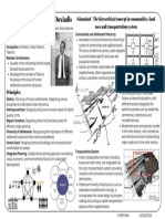 Constantinos Apostolou Doxiadis Greek Architect and Urban Planner