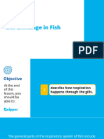 Earth and Life Science SHS 20.1 Gas Exchange in Fish