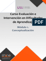 Curso Evaluación e Intervención en Dificultades de Aprendizaje