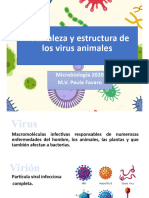 2Clase-Estructura y Composición de Los Virus 2020