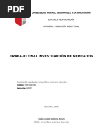 Trabajo Final Investigacion