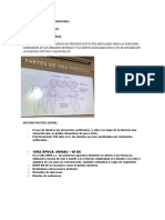 Protesis Parcial, Fija y Remobible