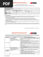 Programacion Curricular de 4 Grado DPCC