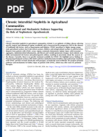 Chronic Interstitial Nephritis in Agricultural.20