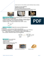 Yesos-Dentales Resumen 1