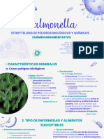 SALMONELLA Caso 2008