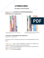 Preparación Pre PI