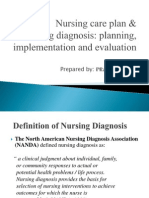 BN1151 Lecture On Nursing Care Plan and Nursing Diagnosis Planning Implementation and Evaluation 0