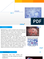 Mycobacterium Angel