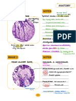 Histology Spotters