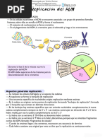 Replicacion Transcripcion y Traduccion 1 Downloable