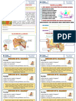 Ficha 3 - Sentido de La Audición