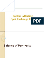 Factors Affecting Spot Exchange Rates