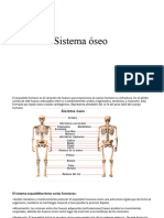 Sistema Oseo...