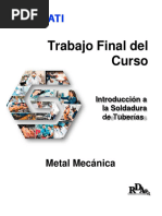 MPTD - MPTD-406 - Trabajo Final Modificado