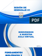 Sesión de Aprendizaje #1 - Características de Los Seres Vivos, Teorías Sobre El Origen de La Vida y Organización