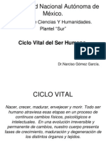 Ciclo Vital 1