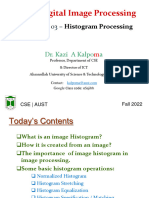 3.2. Histogram Processing