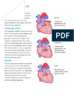 The Cardiac Cycle