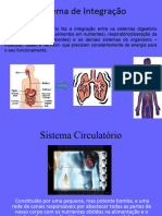 Sistema Cardiovascular