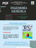 6to Ingenieria Genetica