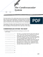 Coloring Book Cardiovascular System