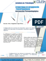 Unidad IV ESTRUCGTURAS DE INTERVENCION PSICOPEDAGOGICA