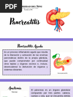 Pancreatitis Med. Interna Expo