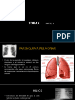 2023 Clase - NMV Semiología Torax Ii