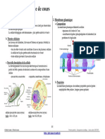 Cellule Vivante Fiche Cours