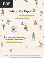 Educación Especial - Marcos Normativos