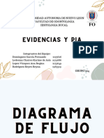 Evidencias y PIA