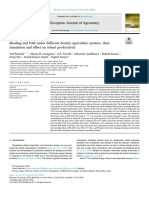 Shading and PAR Under Different Density Agrivoltaic Systems, Their Simulation and Effect On Wheat Productivity