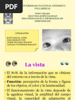 Dificiencia Visual - Diapositiva