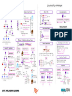 Acute Myelogenous Leukemia