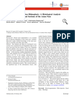 Safe Planes For Injection Rhinoplasty: A Histological Analysis of Midline Longitudinal Sections of The Asian Nose