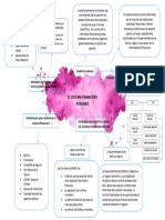 Mapa Conceptual de Auditoria