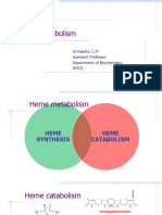 Heme Catabolism 1