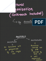 Structural Organisation by Rakshita Singh