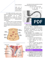 5 Hernias