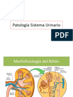 Patologasistemaurinario