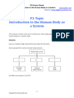 P3 Science - The Human Body As A System Topic